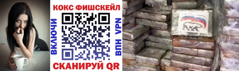 Cocaine Fish Scale  MEGA зеркало  Камызяк 